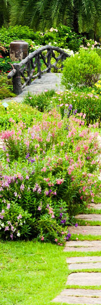 Jardin paysagé