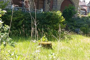 Renovation jardin